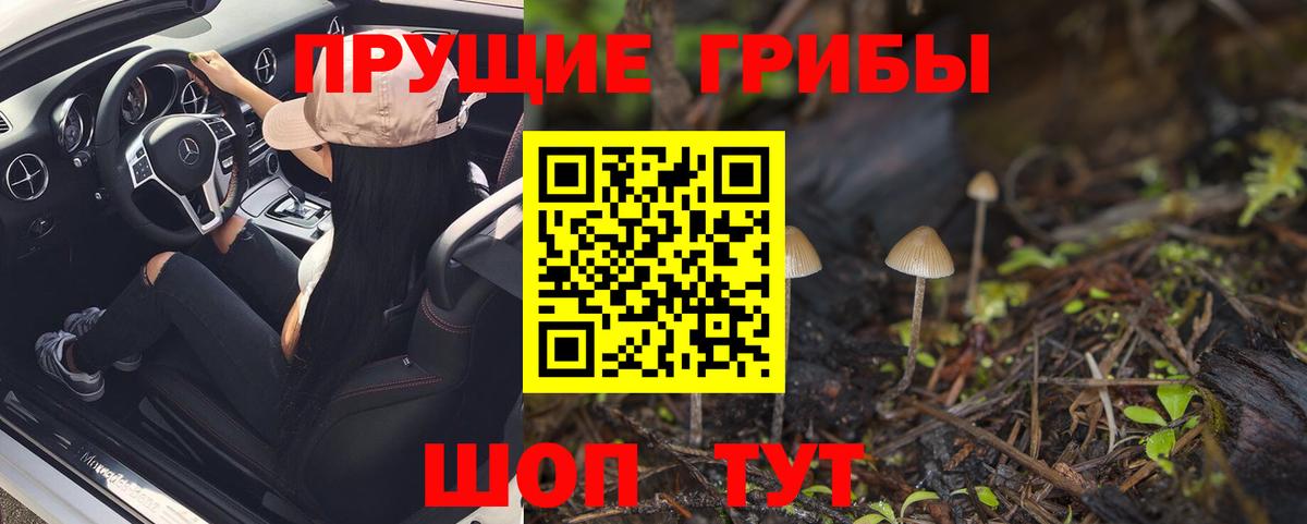 Галлюциногенные грибы Cubensis  Вход с VPN  Ивантеевка  Псилоцибиновые грибы мухоморы 