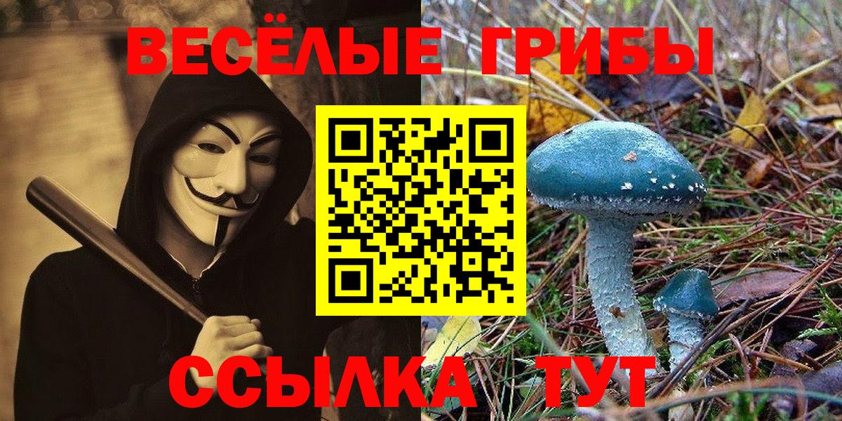Псилоцибиновые грибы ЛСД Ивантеевка
